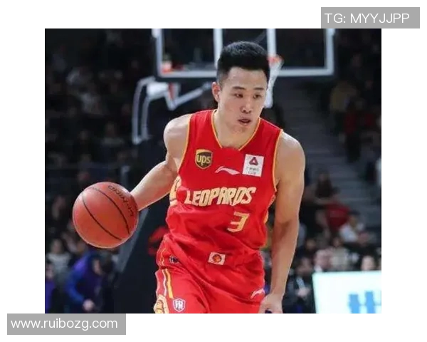 贺希宁：从篮球新星到职业生涯巅峰的奋斗与成长之路