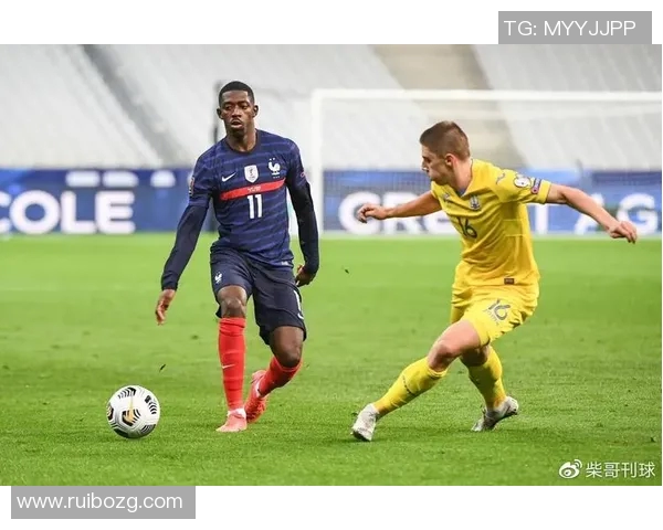 法国与波黑的历史交锋记录分析与战绩回顾