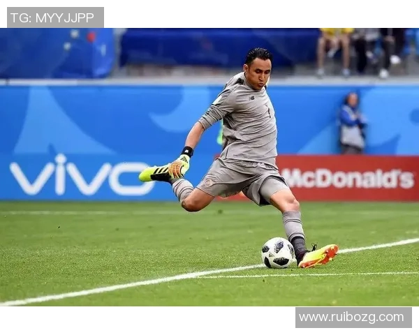 瑞典与秘鲁足球比赛数据深度分析及战术对比探讨