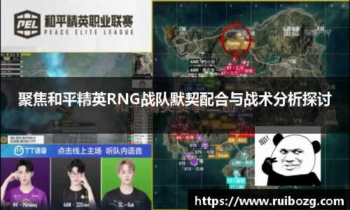 聚焦和平精英RNG战队默契配合与战术分析探讨