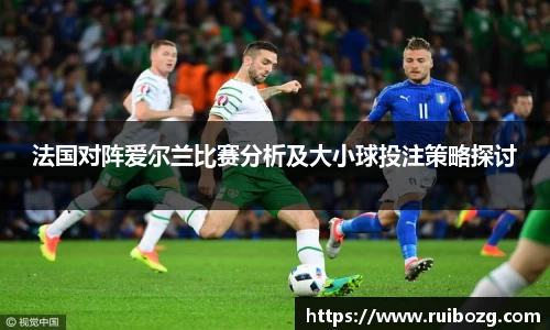 法国对阵爱尔兰比赛分析及大小球投注策略探讨