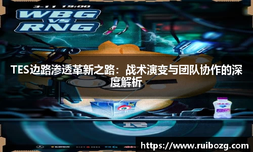 TES边路渗透革新之路：战术演变与团队协作的深度解析